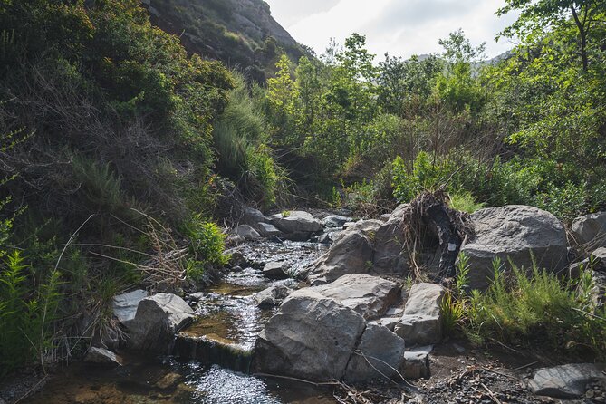 Private Malibu Waterfall Hike & Pacific Coast Drive - What to wear and bring: the shoes are the decision