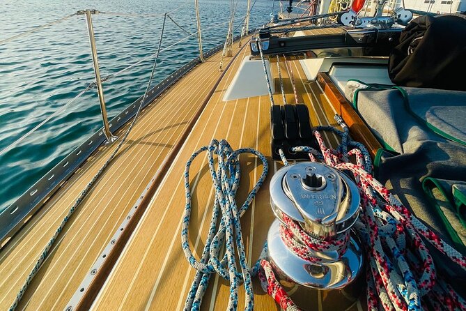 Private Therapy Sailing Adventure - Santa Monica Pier and the solar Ferris wheel from offshore