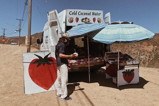 Private Vintage VW Hippie Tour to Malibu with wine tasting - From Santa Monica Pier to Malibu: The Easy, Coastal Start