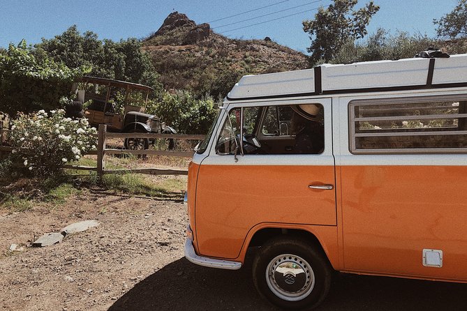 Private Vintage VW Hippie Tour to Malibu with wine tasting - Price and Value: Is $195 for 4 Hours Worth It?