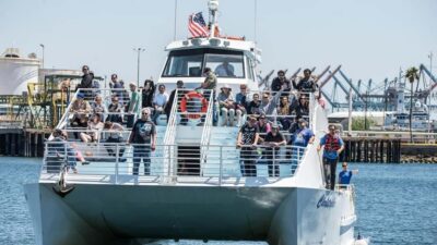 San Pedro: West Harbor LA Dolphin & Whale Watching Cruise - The cruise itself: how the 2-hour ride feels in practice