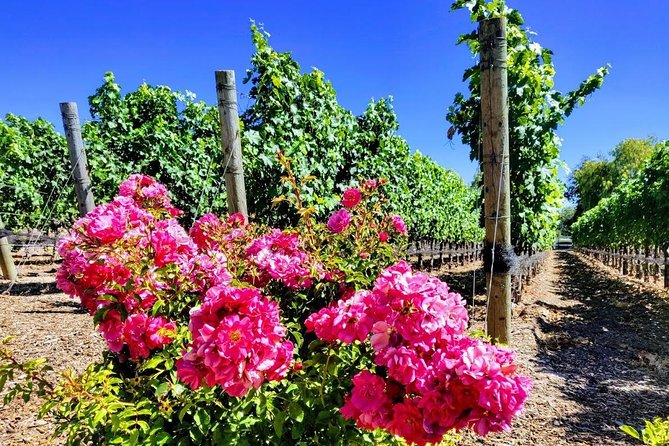 Santa Barbara Wine Tasting Day Tour from Los Angeles - Santa Barbara Downtown and Stearns Wharf: Quick Hits With Breathing Room