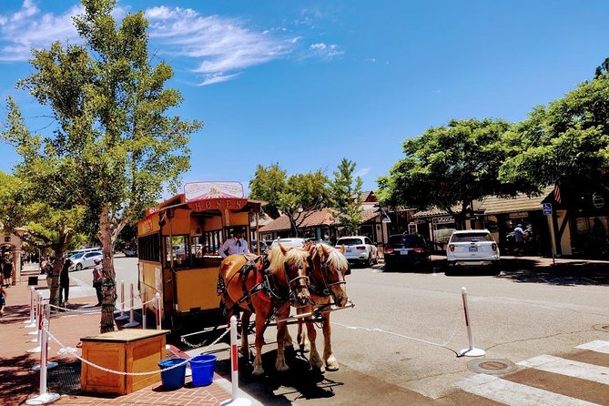 Santa Barbara Wine Tasting Day Tour from Los Angeles - Los Olivos Lunch Stop: Where the Day Gets Human-Scale
