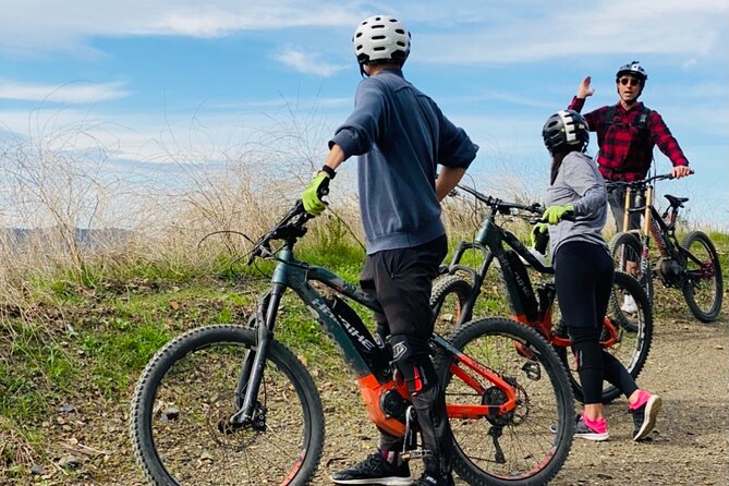 Santa Monica Premium Electric Mountain Bike Tour - Canyon and ocean viewpoints: the best moments are built in