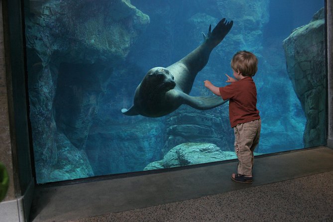 Skip the Ticketing Line: Aquarium of the Pacific General Admission Ticket - Touch-Tank Fun: Interactive Areas Without the Chaos