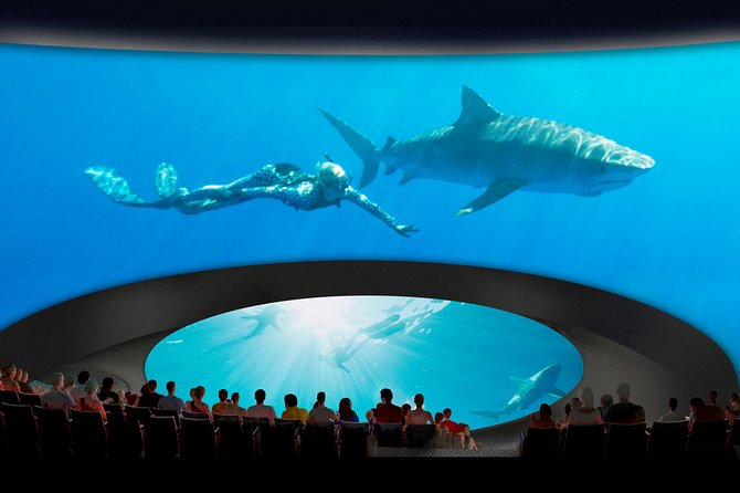 Skip the Ticketing Line: Aquarium of the Pacific General Admission Ticket - The Included Shows: 4D Movie and Pacific Visions