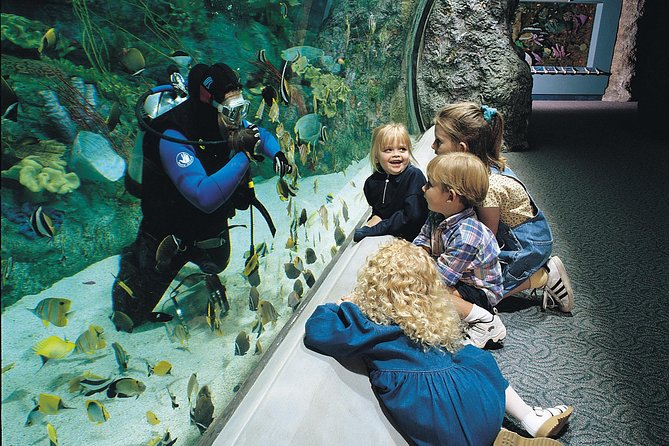 Skip the Ticketing Line: Aquarium of the Pacific General Admission Ticket - Price and Value: What $44.95 Buys You (and What It Doesn’t)