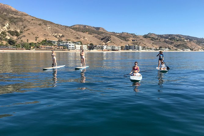 Stand up Paddle Board in Malibu - Coastline Views and Wildlife: Seals, Dolphins, and Sea Lions