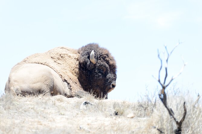 Summit Sunset Tour - The 1,500-Foot Conservancy Stop: Where the Sunset Gets Real