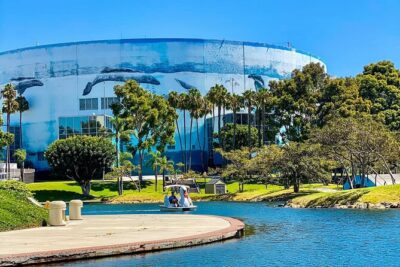 Swan Boat Rental at Rainbow Lagoon - Meeting point at Shoreline Drive and S Pine Ave