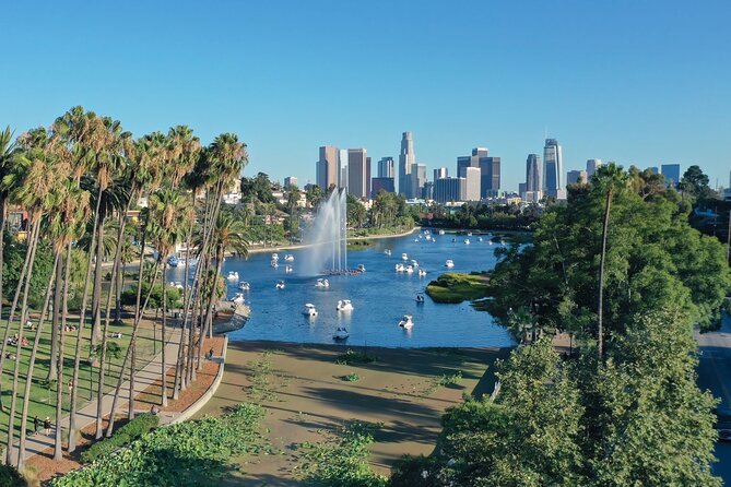 Swan Boat Rental in Echo Park - What You See: Lotus Beds, the Fountain, and Skyline Views