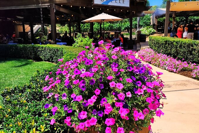 Temecula Wine Tour from Los Angeles - Key Things I’d Watch Before Booking