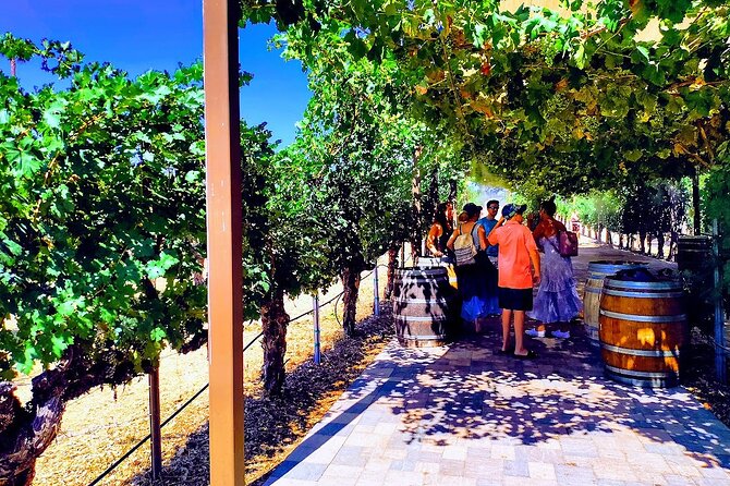 Temecula Wine Tour from Los Angeles - Harveston Lake Park: The Short Walk That Helps the Day Feel Balanced