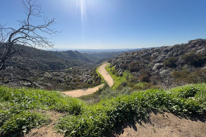 The Premier Hollywood Sign Tour: Nature in the Heart of the City - Guide quality and why storytelling matters on this trail
