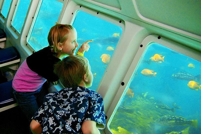 Undersea Expedition: Catalina Island Tour - Start at Green Pleasure Pier: Avalon’s easy launch point