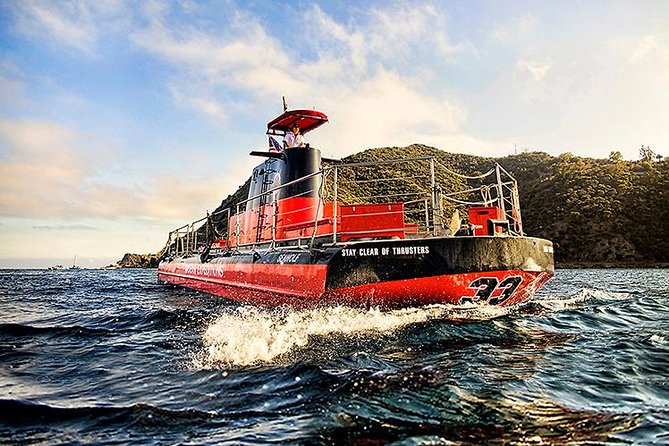 Undersea Expedition: Catalina Island Tour - What you actually see underwater: fish, kelp, and protected habitat
