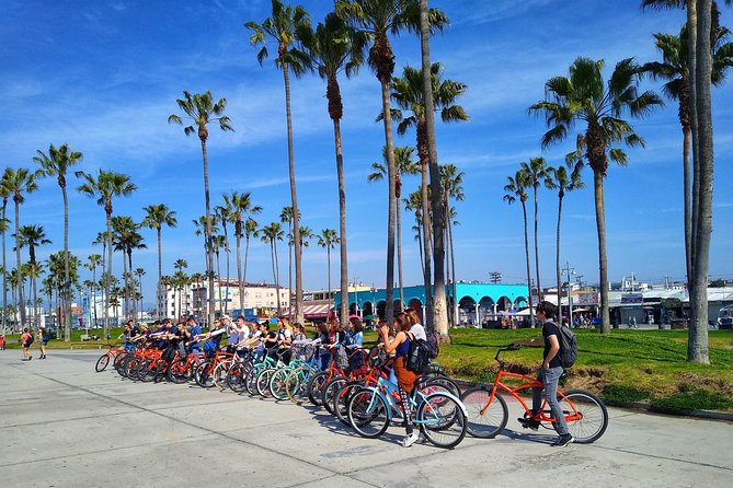 Venice Vibrations Public Bike Tour Experience - Venice Graffiti Art Walls: legal art on sand