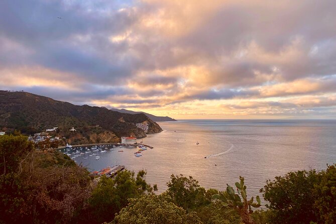 Walking History Tour on Catalina Island - Catalina Casino: A Big Icon That’s Not What You Expect
