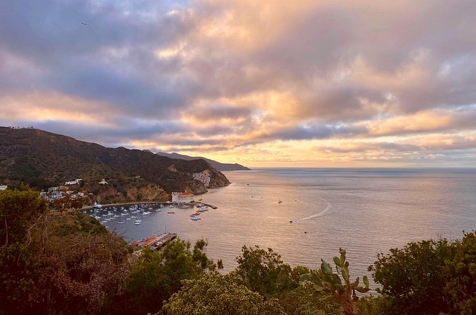 Walking History Tour on Catalina Island - The Marilyn Monroe Photo Stop: Hollywood Meets Coastal Reality