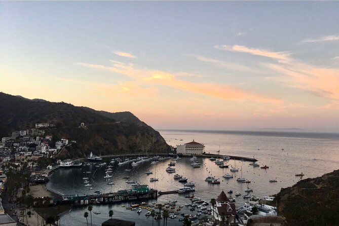 Walking History Tour on Catalina Island - Price and Value: Paying $40 for a Guided Story Walk