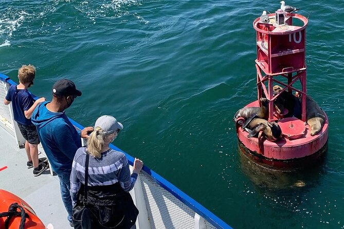 West Harbor LA 45-Minute Narrated Harbor Cruise of San Pedro - Things to consider before you go