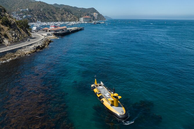 Yellow Semi-Submarine Tour of Catalina Island From Avalon - Key Highlights Worth Knowing Before You Go