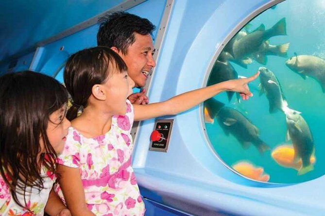Yellow Semi-Submarine Tour of Catalina Island From Avalon - Price and What You Really Get for $53 From Avalon