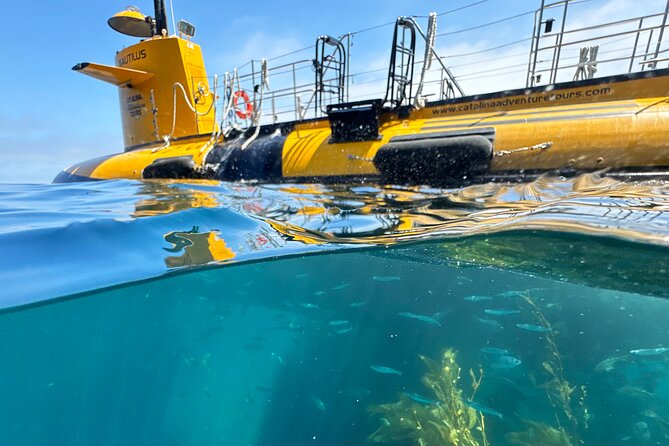 Yellow Semi-Submarine Tour of Catalina Island From Avalon - Lovers’ Cove Undersea Gardens: What You’ll See (and What to Look For)