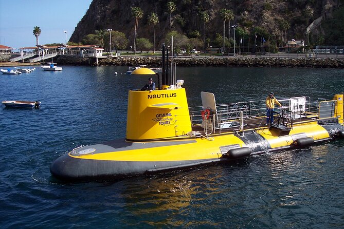 Yellow Semi-Submarine Tour of Catalina Island From Avalon - Torpedo Buttons and Fish Feeding: The Fun Part That Costs Extra