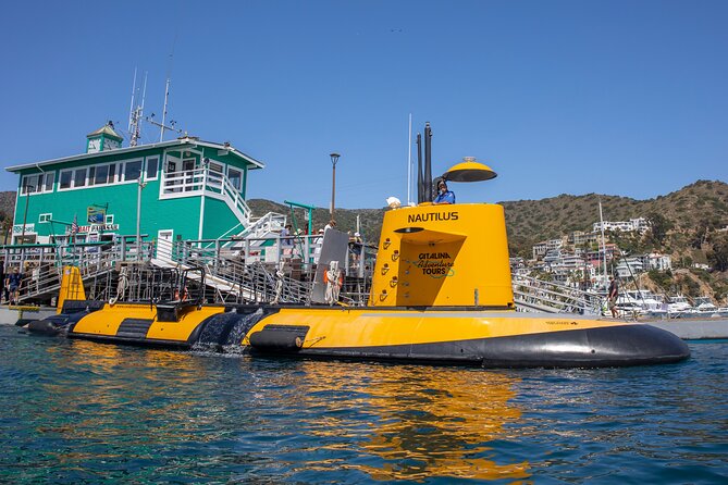 Yellow Semi-Submarine Tour of Catalina Island From Avalon - The Guide Experience: What Good Crew Leadership Changes